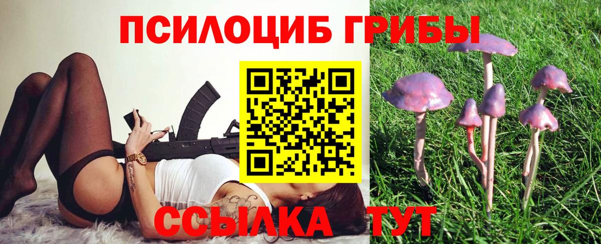 Кимры  Галлюциногенные грибы Magic Shrooms  где продают наркотики  Вход с VPN 